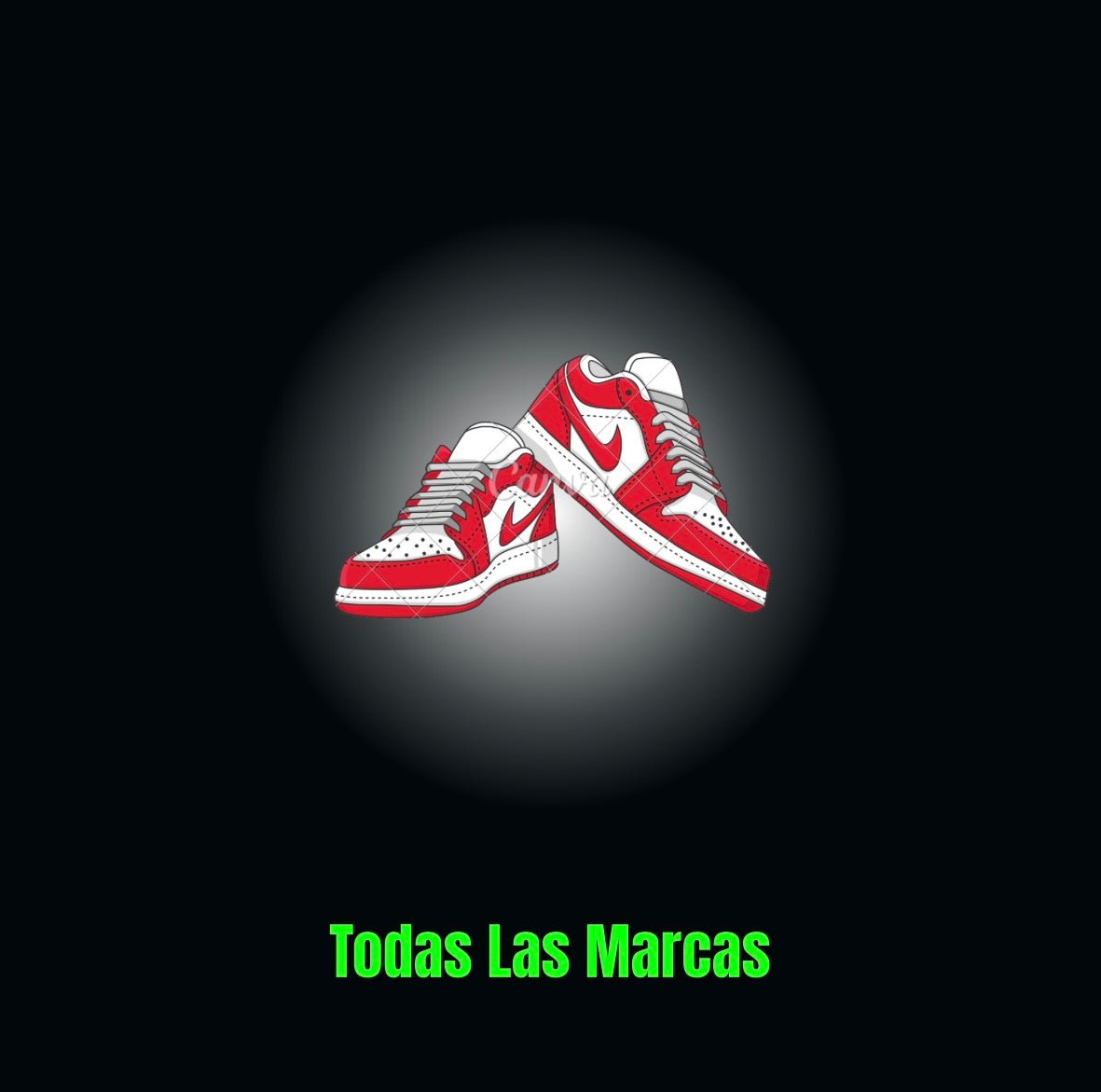 Prov Zapas + Ropa de marca